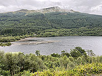Gallus Running | Loch Eck : 584_sm_008.jpg
