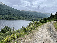 Gallus Running | Loch Eck : 584_sm_009.jpg