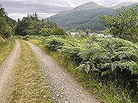 Gallus Running | Loch Eck : 584_sm_011.jpg
