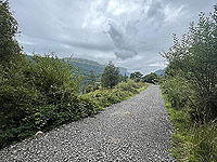 Gallus Running | Loch Eck : 584_sm_016.jpg