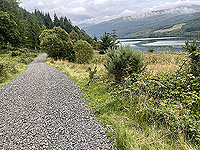 Gallus Running | Loch Eck : 584_sm_017.jpg