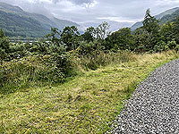 Gallus Running | Loch Eck : 584_sm_018.jpg