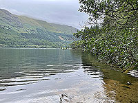 Gallus Running | Loch Eck : 584_sm_029.jpg