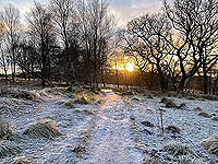 Gallus Running : 586_sm_008.jpg