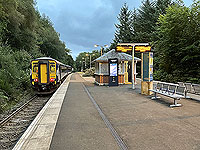 Gallus Running : 586_sm_031.jpg