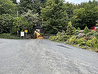 Gallus Running : 586_sm_032.jpg