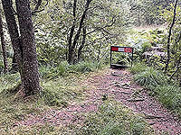 Gallus Running : 586_sm_054.jpg