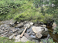 Gallus Running : 586_sm_057.jpg