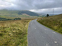 Gallus Running : 586_sm_062.jpg