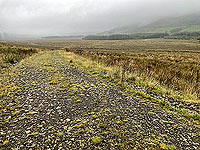 Gallus Running : 586_sm_070.jpg