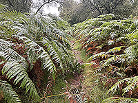 Lochgoilhead : 587_sm_018.jpg