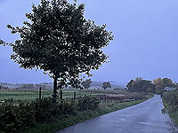 Cardross to Helensburgh : 588_sm_028.jpg
