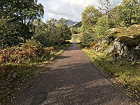 The single track road in Glen Strathfarrar