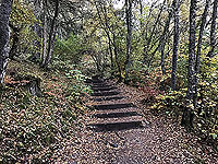 The Birks in autumn at Aberfeldy